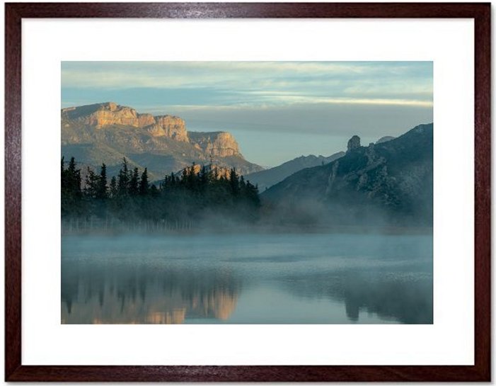 Misty Morning Framed Print